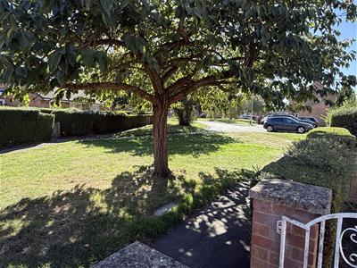Picture 15